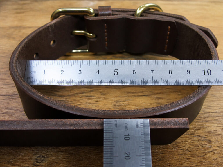 How to Size a Leather Dog Collar Using the Two-Finger Test