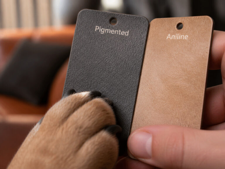 Dog-Proof Your Leather: A Complete Protection Guide & Tips
