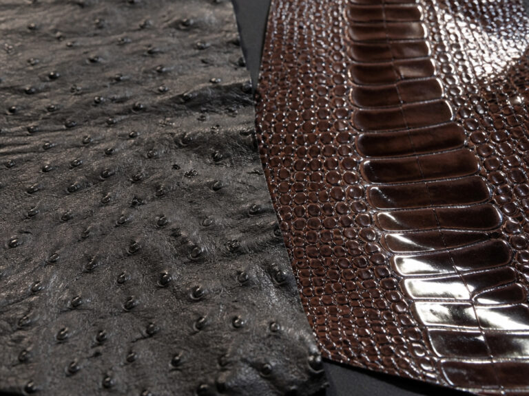 What Is Ostrich Leather? Guide to Its Unique Quill Pattern